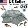 Fishing Bait Trap Crab Net Crawdad Shrimp Cast Dip Cage Fish Minnow Foldable NEW - Default Title