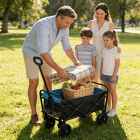 Mini Camping Cart Folding Wagon Garden Shopping Beach Cart Outdoor Cart Garden Cart For Picnic (black+blue)