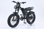 EMB009 New Design 750W Electric Mountain Bike – Outdoor Performance E-Bicycle