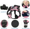Pet Harness And Leash Set For Dog & Cat; Adjustable No Pull Service Dog Vest Harness For Walking - Lake Blue - S