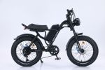 EMB009 New Design 750W Electric Mountain Bike – Outdoor Performance E-Bicycle