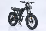 EMB009 New Design 750W Electric Mountain Bike – Outdoor Performance E-Bicycle