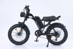 EMB009 New Design 750W Electric Mountain Bike – Outdoor Performance E-Bicycle